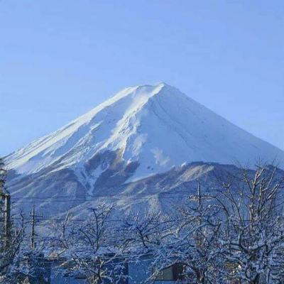 剑芒游戏下载